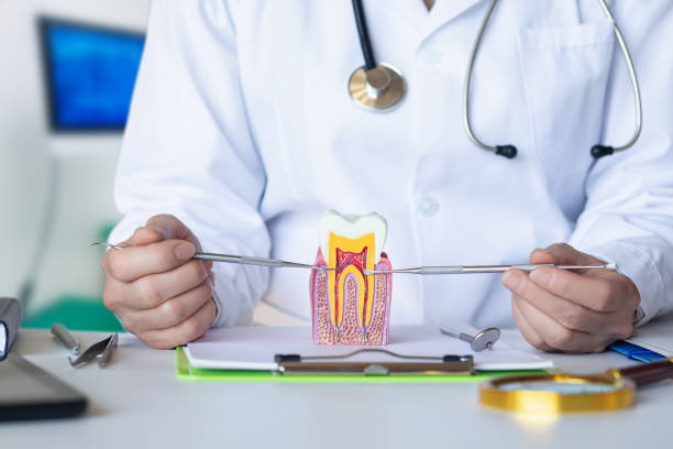 Best Emergency Dental Care for Abscessed Tooth in Greeneville, TN